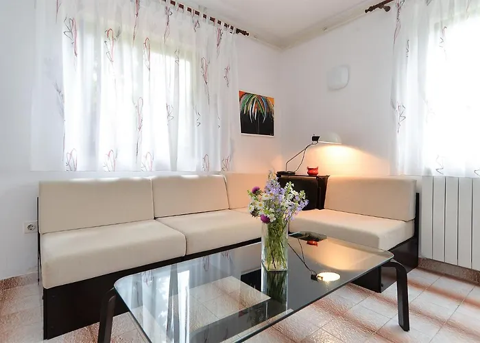 Anton 2083 Premantura